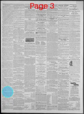 Page thumbnail for New Hampshire Statesman