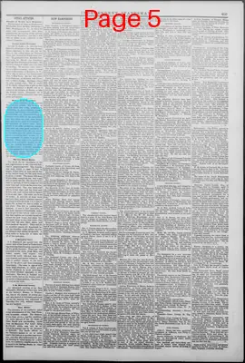 Page thumbnail for Independent Statesman