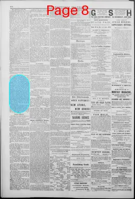 Page thumbnail for Independent Statesman