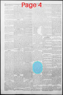 Page thumbnail for Independent Statesman