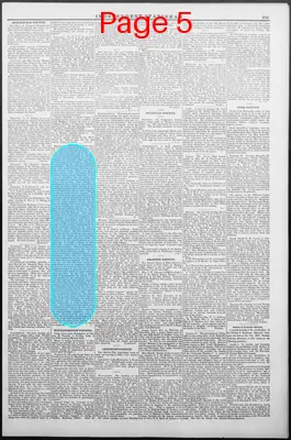 Page thumbnail for Independent Statesman