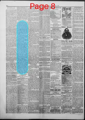 Page thumbnail for Independent Statesman