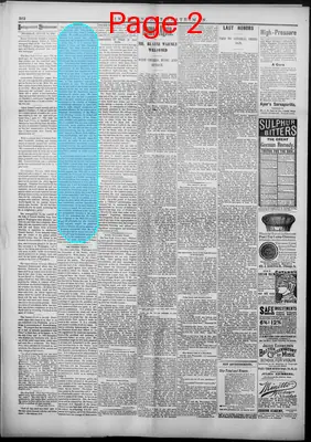 Page thumbnail for Independent Statesman