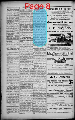 Page thumbnail for The Forrest City Times