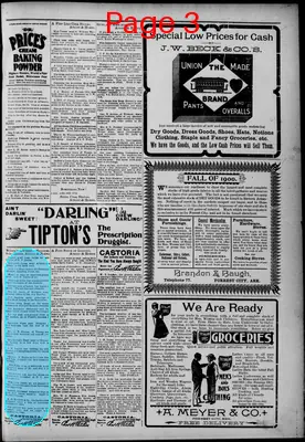 Page thumbnail for The Forrest City Times