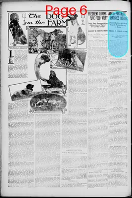 Page thumbnail for The Forrest City Times