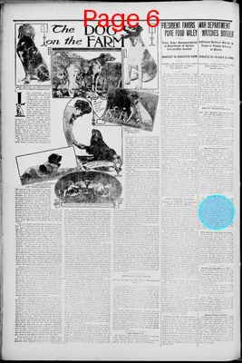 Page thumbnail for The Forrest City Times