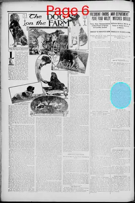 Page thumbnail for The Forrest City Times