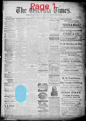 Page thumbnail for The Osceola Times