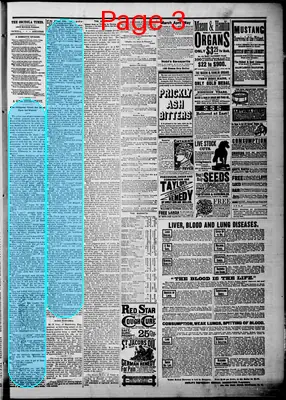 Page thumbnail for The Osceola Times