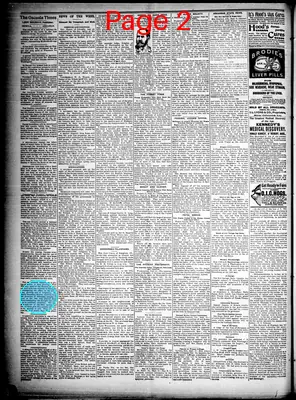 Page thumbnail for The Osceola Times