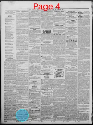 Page thumbnail for The New England Weekly Review