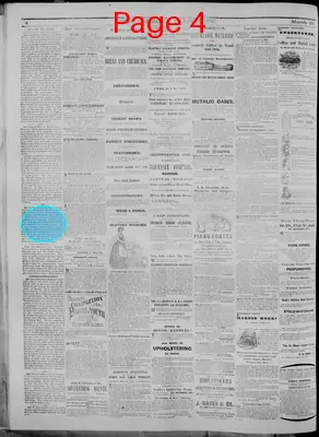 Page thumbnail for The Vermont Transcript