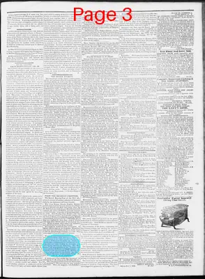Page thumbnail for The Caledonian