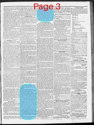 Page thumbnail for The Caledonian