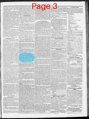 Page thumbnail for The Caledonian