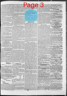 Page thumbnail for The Caledonian