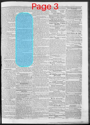 Page thumbnail for The Caledonian