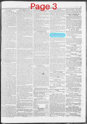 Page thumbnail for The Caledonian