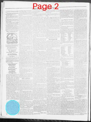Page thumbnail for The Caledonian