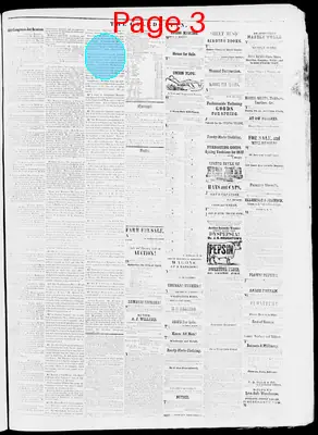 Page thumbnail for The Caledonian