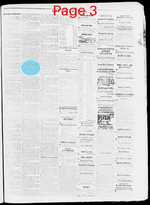 Page thumbnail for The Caledonian