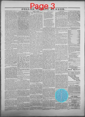 Page thumbnail for Dollar Weekly Mirror