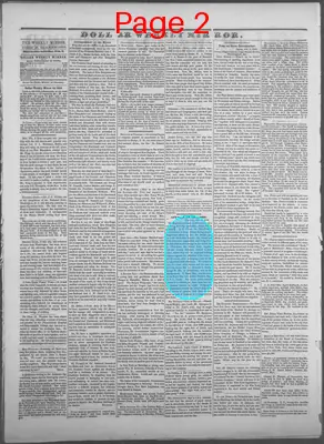 Page thumbnail for Dollar Weekly Mirror