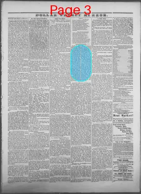 Page thumbnail for Dollar Weekly Mirror