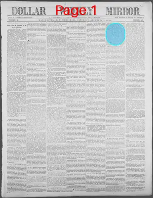 Page thumbnail for Dollar Weekly Mirror