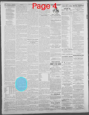Page thumbnail for Dollar Weekly Mirror