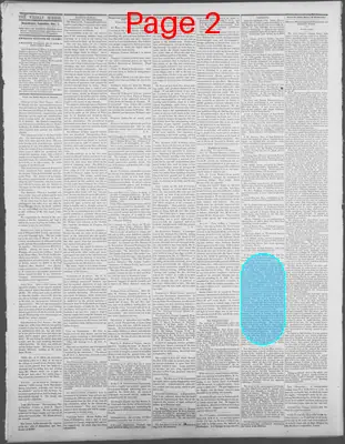 Page thumbnail for Dollar Weekly Mirror