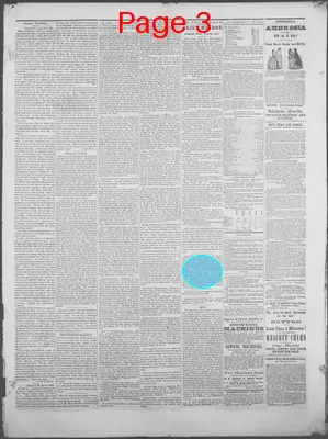 Page thumbnail for Dollar Weekly Mirror