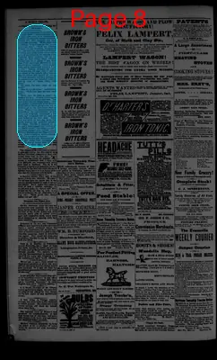 Page thumbnail for The Jasper Weekly Courier