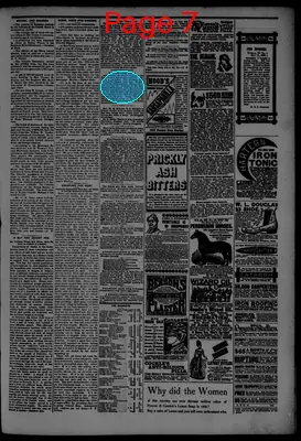 Page thumbnail for The Jasper Weekly Courier