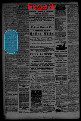 Page thumbnail for The Jasper Weekly Courier