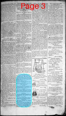 Page thumbnail for Alexandria Daily Advertiser