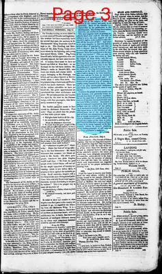 Page thumbnail for Alexandria Daily Gazette, Commercial & Political
