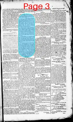 Page thumbnail for Alexandria Daily Gazette, Commercial & Political