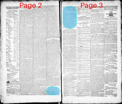 Page thumbnail for Alexandria Daily Gazette, Commercial & Political