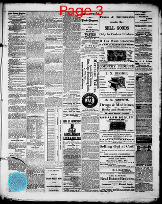 Page thumbnail for Iron County Register