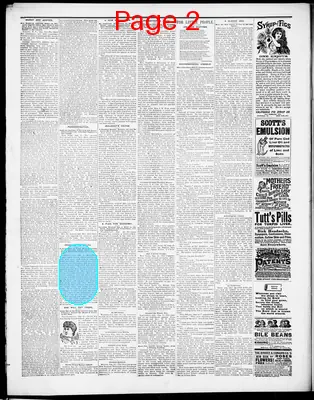 Page thumbnail for Iron County Register
