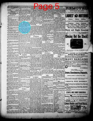 Page thumbnail for Iron County Register