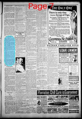 Page thumbnail for Iron County Register