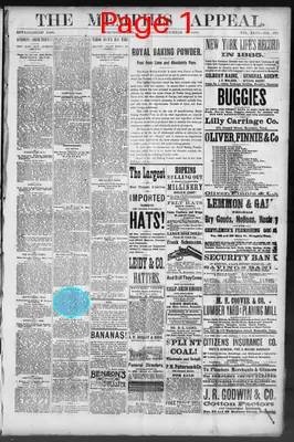 Page thumbnail for The Memphis Appeal