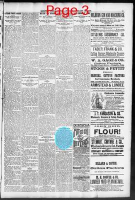 Page thumbnail for The Memphis Appeal