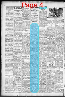 Page thumbnail for The Memphis Appeal