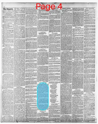 Page thumbnail for Pittsburg Dispatch