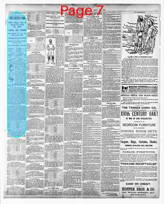 Page thumbnail for Pittsburg Dispatch