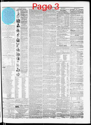 Page thumbnail for Bradford Reporter